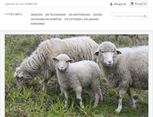 Tablet Screenshot of e-supelek.com.pl